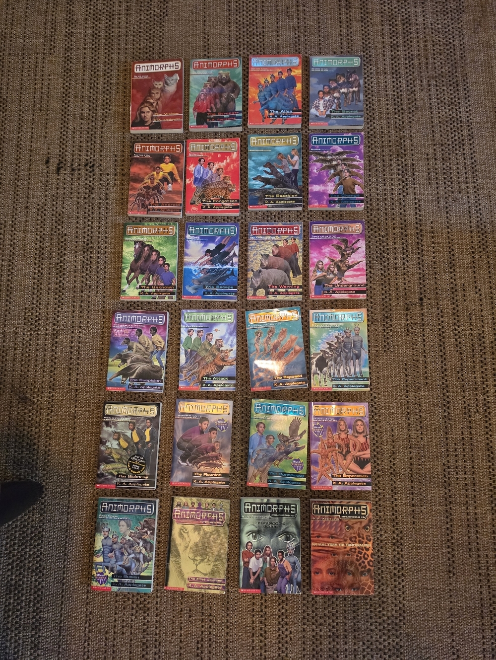 Vintage Animorphs Book Collection